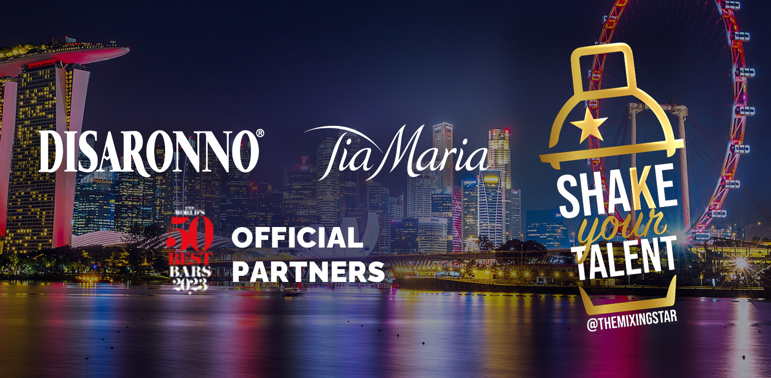 BANNER_SHAKE-YOUR-TALENT